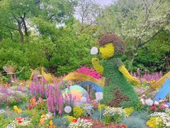 -上海共青森林公园