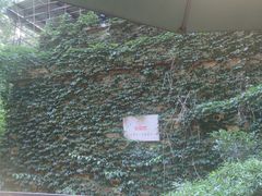 -宅里香.自然餐厅(湘大店)