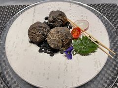 -蒲叙(凯天国际店)