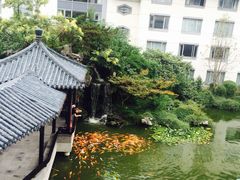 餐厅阳台景色-苏苑饭店-中餐厅(长桥地区店)