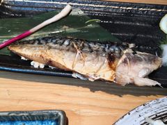 盐烤青花鱼-味太助·银饭食堂(中华城店)