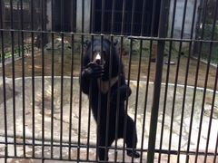 -广东茂名森林公园