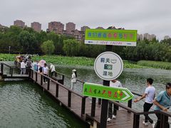 -前关湿地公园