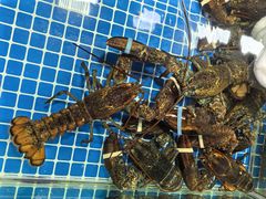 -霞涌市场海鲜摆卖区
