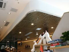 -飞行喵MR PILOT|猫舍·猫咖(静安大融城店)