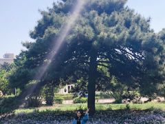 -吉林大学(南岭校区)