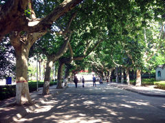 IMG_6236-西安理工大学(金花校区)