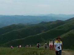 -草原天路(张北县)