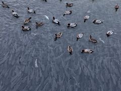 -深圳湾公园(南山区)