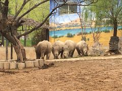 -西安秦岭野生动物园