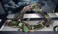 -苏针艺纹身·穿孔饰品