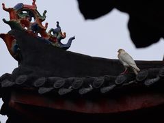 -姑婆山旅游区