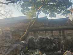 -绮园景区