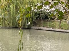 -复旦大学(张江校区)