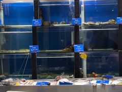 -品味居·首店·大连鲜活海鲜大连菜(东港店)