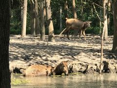 -溱湖国家湿地公园