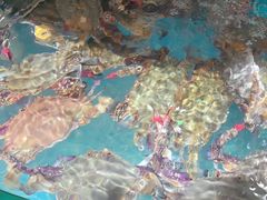 -蓝珊海鲜澳洲和牛自助餐厅