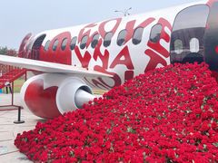 -解忧不忧花园精酿餐吧