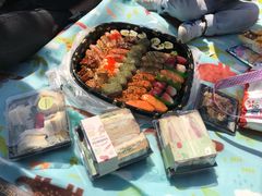 -嘉北郊野公园北游客中心-地上停车场