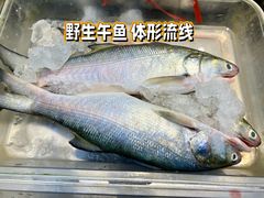 -鑫悦楼煎蟹·16年海鲜大排档