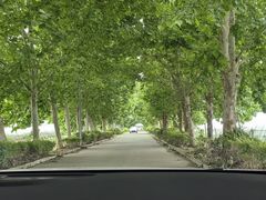 -林间山庄
