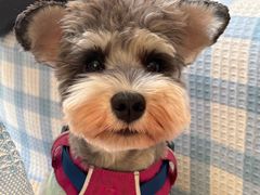 -乖乖宠物医院·猫科·骨科·24小时(云岗分院)