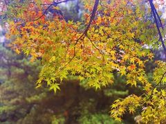 -商丘市人民公园