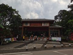 -海口火山口国家地质公园