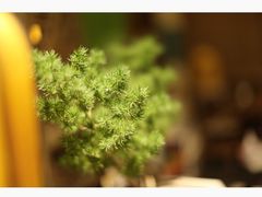 -行人小筑·茶馆(岑村火炉山分店)