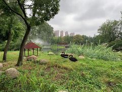 -武汉动物园