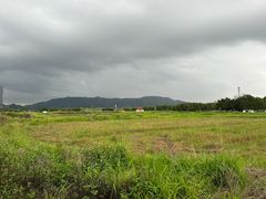 -光明小镇欢乐田园