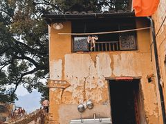-杨家堂村