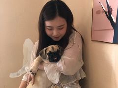 -喜柴咖啡·柴犬狗咖