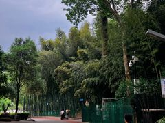 -西安市长乐公园