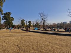 -九科绿洲