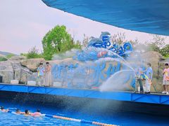 -南京银杏湖乐园