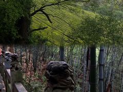 -敬亭山风景名胜区