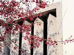 -乌山风景区