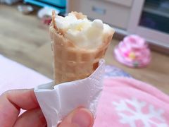 -野人先生现做冰淇淋(北京顺义祥云小镇店)