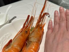 -食廬(浦东嘉里城店)