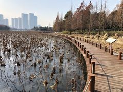 -苏州东太湖生态园