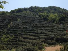 -西湖风景区十里琅珰-五云山