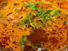 -老凯俚酸汤鱼(鸿通城店)