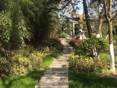 -菊花台公园