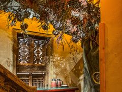 -叶叶菩提(太原别墅店)