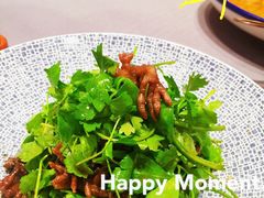 -阿庄新豫菜(航海东路店)