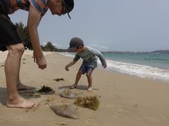 -三亚海棠湾万丽度假酒店