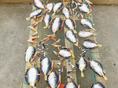 -丰收渔港饭店(嵊泗店)