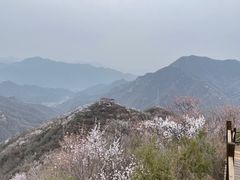 -大岭沟猕猴桃谷风景区