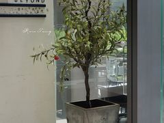 -Something For(中洲湾店)